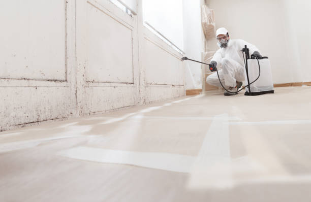 24/7 Emergency Attic Mold Removal experts in Portland, OR