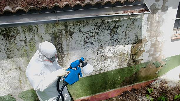 Trusted Bathroom Mold Removal service in Portland, OR - Cheap Mold Removal